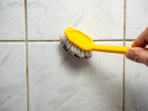 Best White Mold Remediation in Crestwood, MO