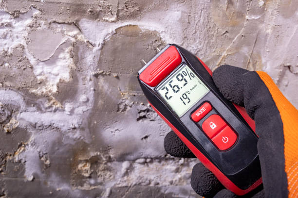 Best Post-Remediation Services in Crestwood, MO