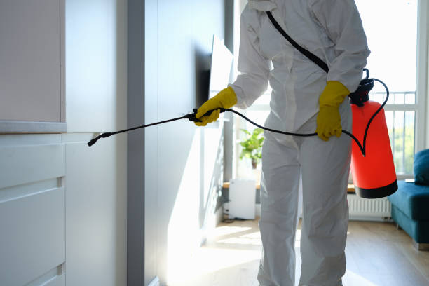 Best Industrial Mold Remediation in Crestwood, MO